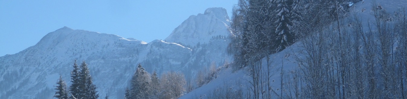 Ferienwohnung Bergblick Untergrub