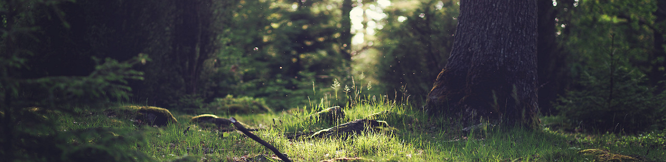 Ferienwohnungen Untergrub Preise